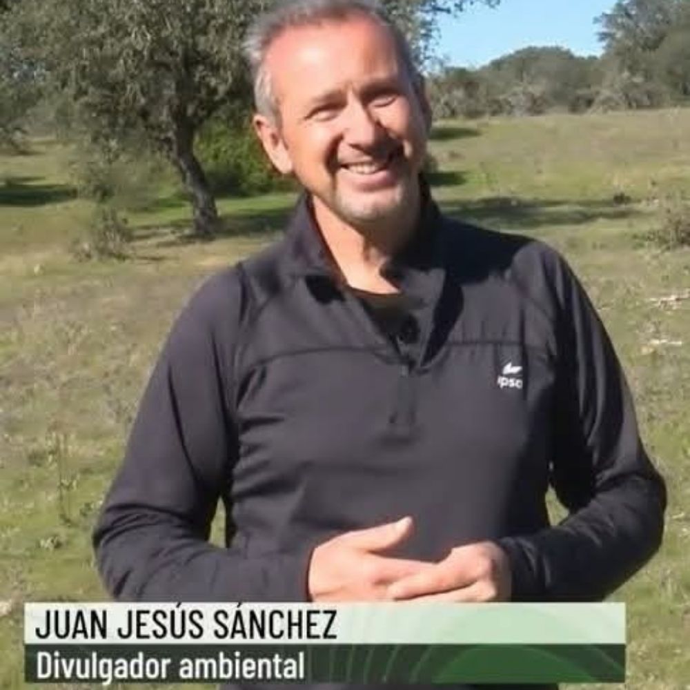Juanje Sánchez