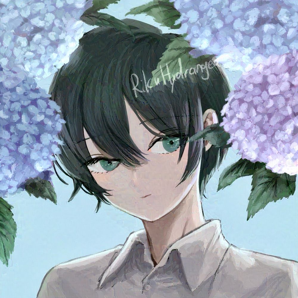 四葩りく(Riku Hydrangea)