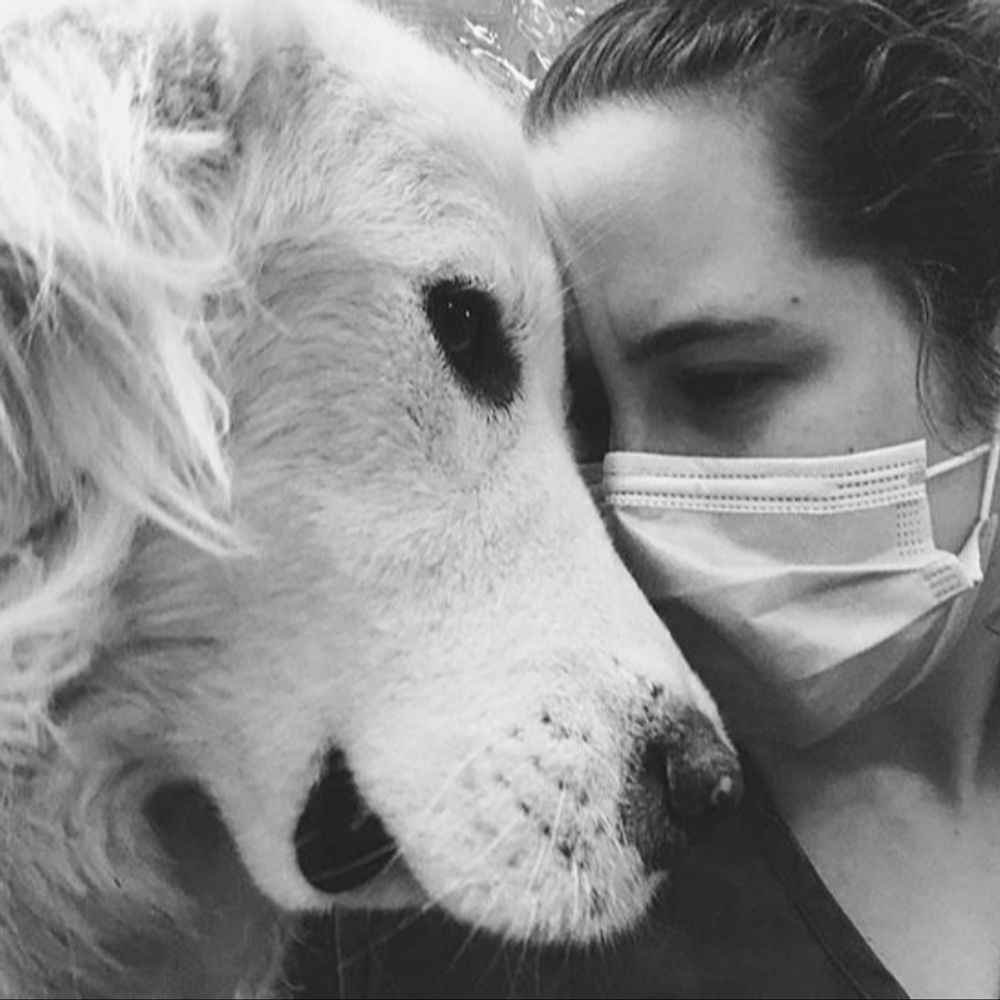 ER vet tech