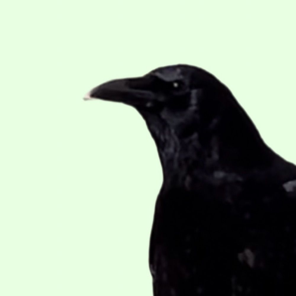 inspirationalcrow
