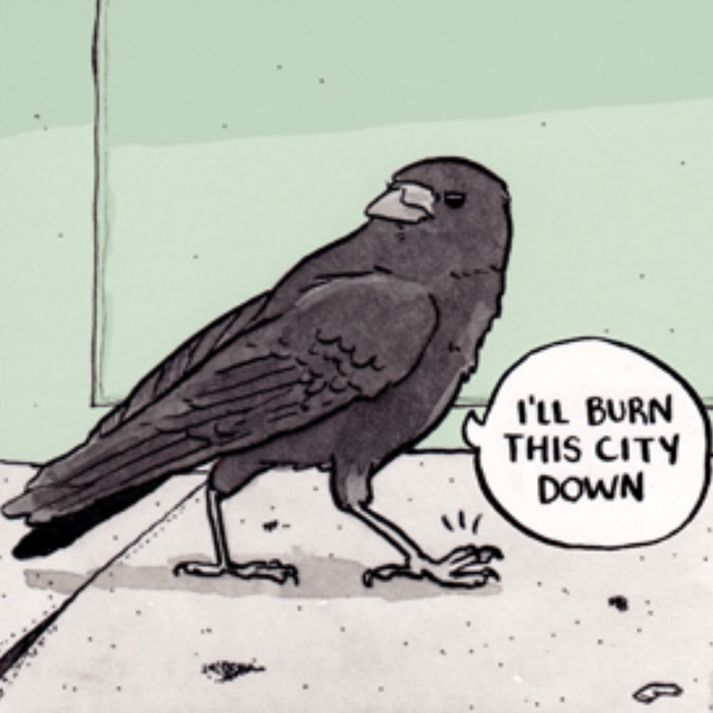 Birdy Pines
