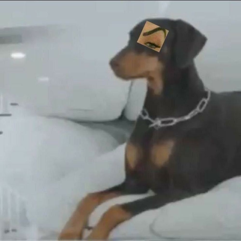 Agr a loucura será aqui