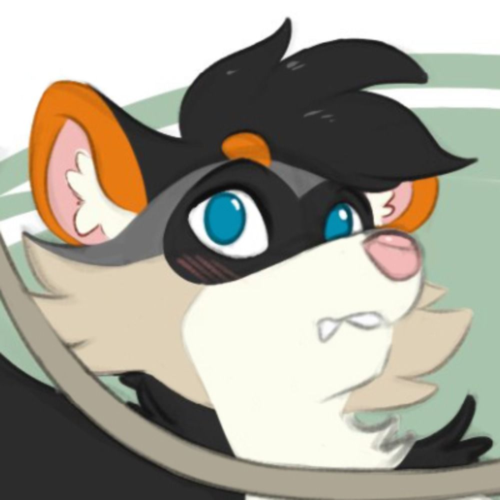 Tune Ferret's avatar