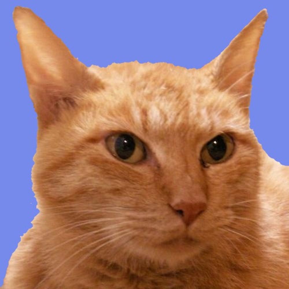 かぶとやま＠にしのみや