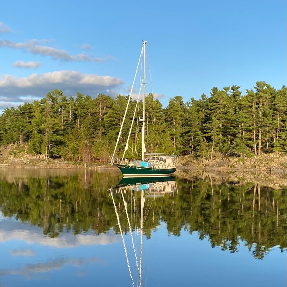 Gaviidae Sails
