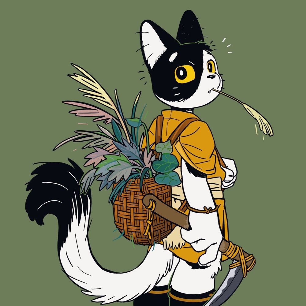 fynnbytez.bsky.social profile picture