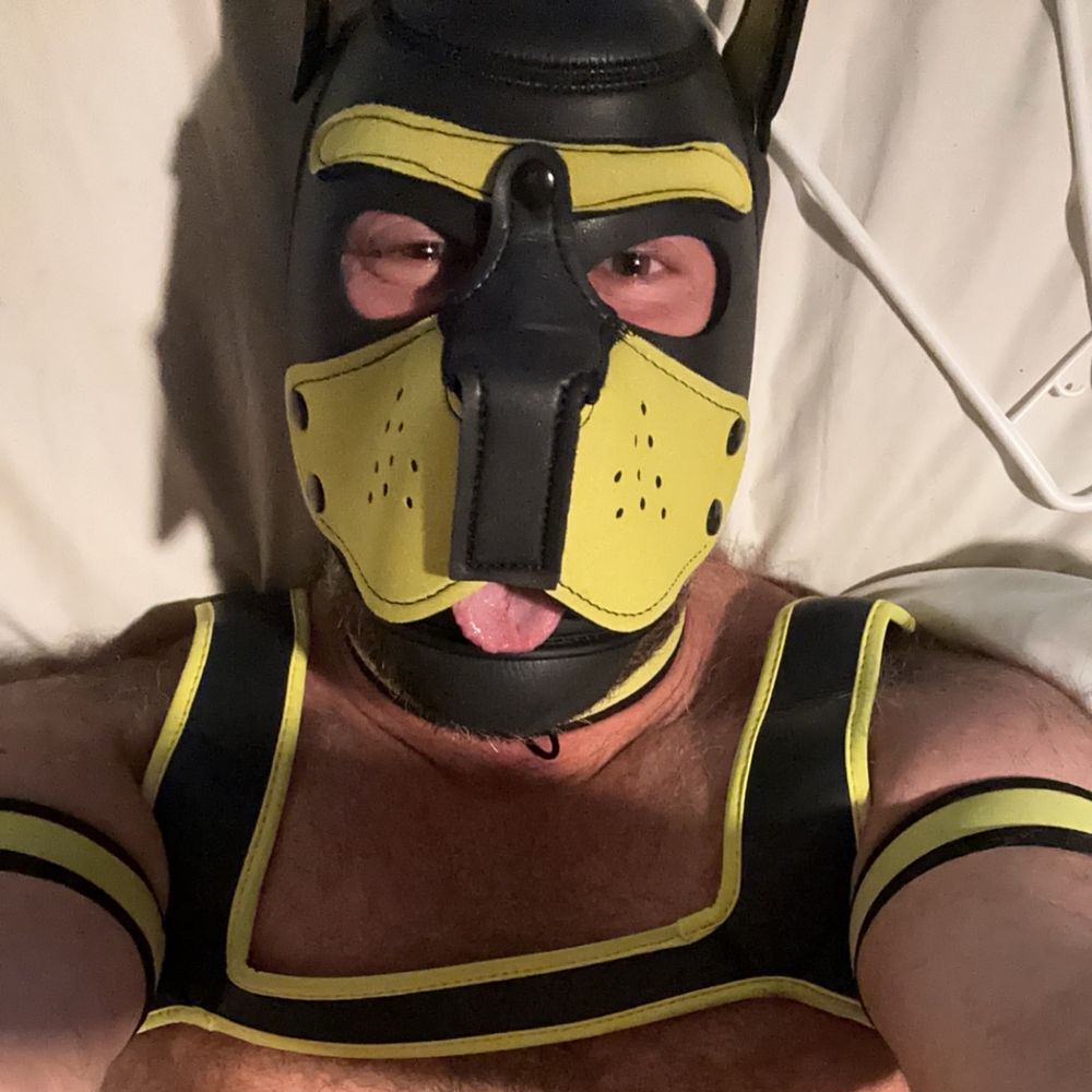 Profile picture pupjasper83.bsky.social