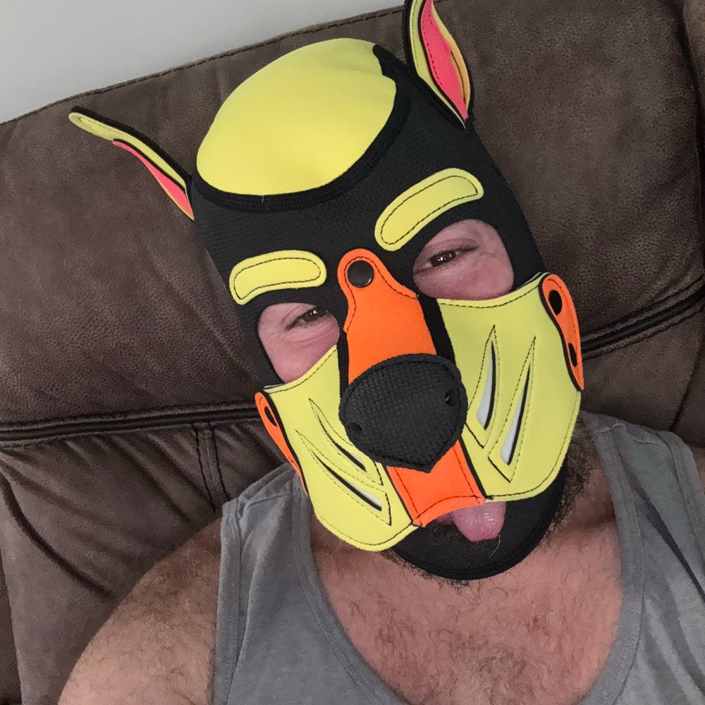 Pup Jasper