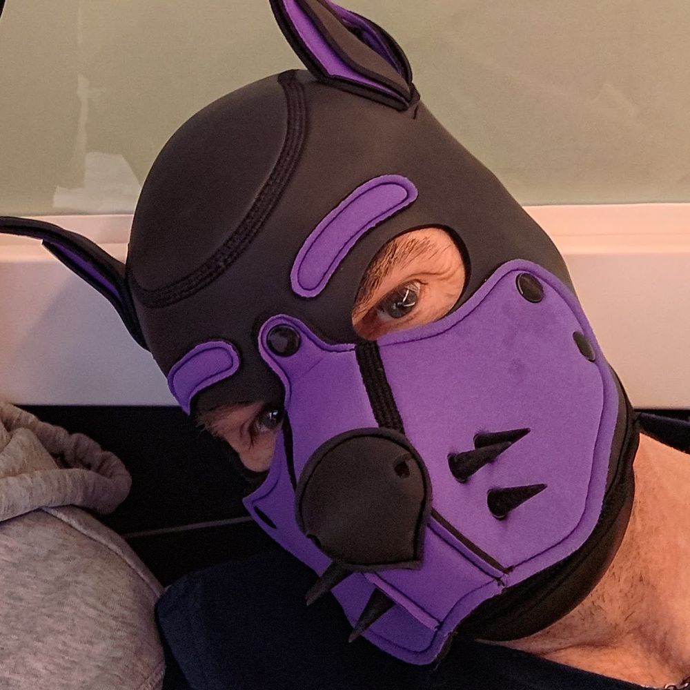 Purple Pup Spike