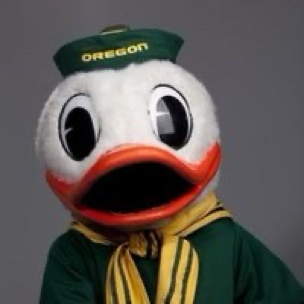 Scout The Duck