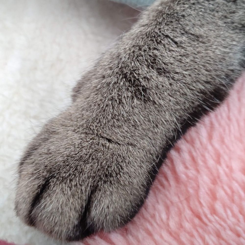 めい