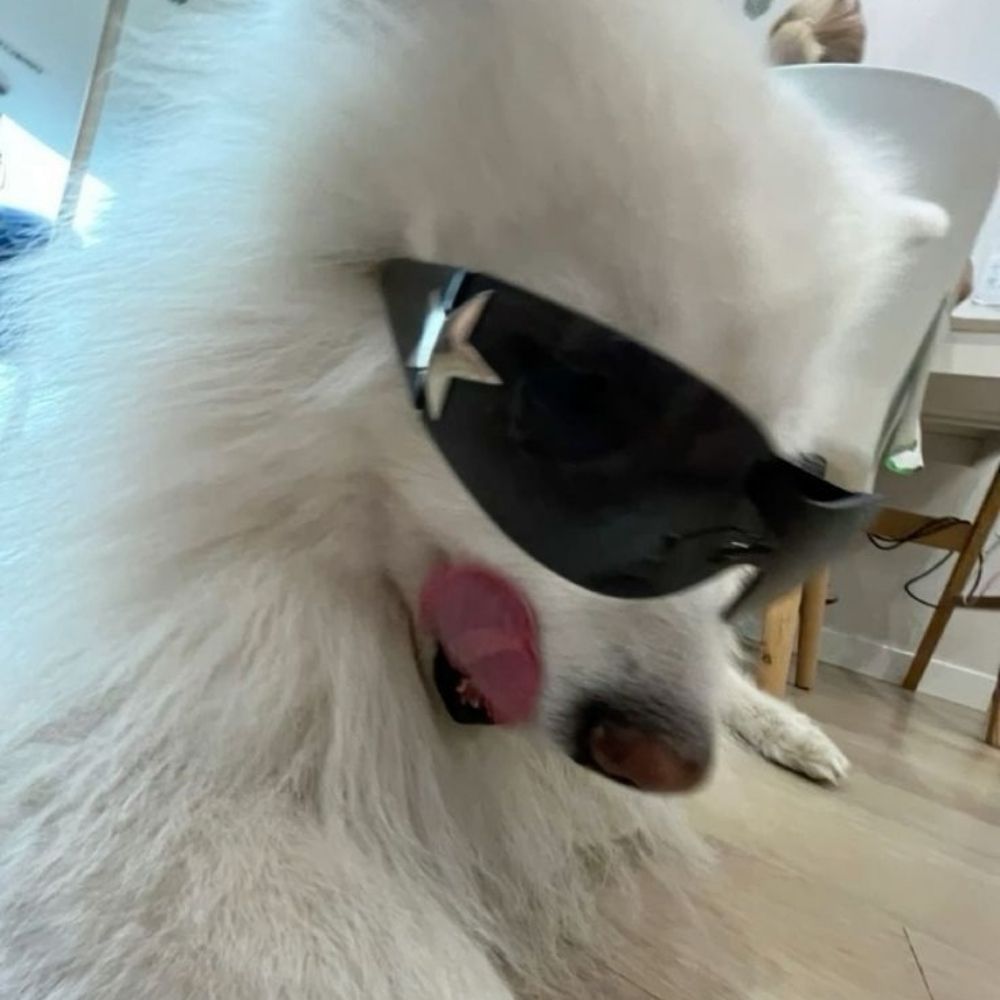 진넌