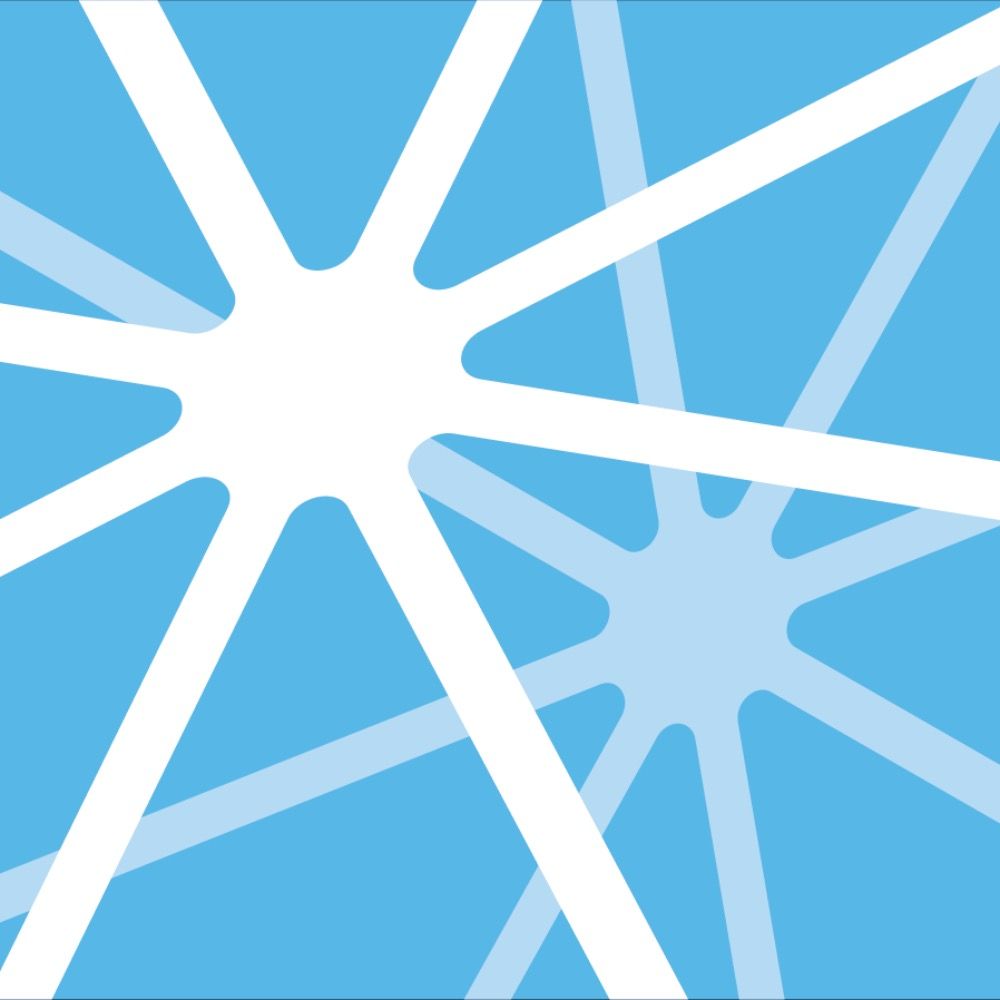 Rice Neuroengineering Initiative 