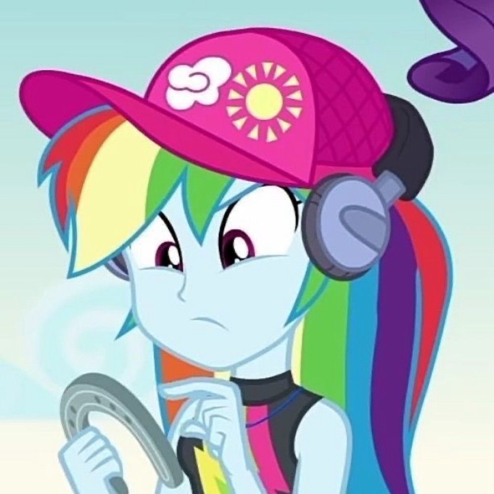 rainbow dash of shedsky 