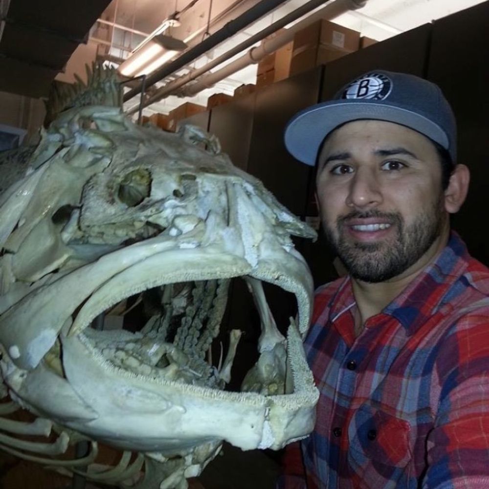 Chris Martinez