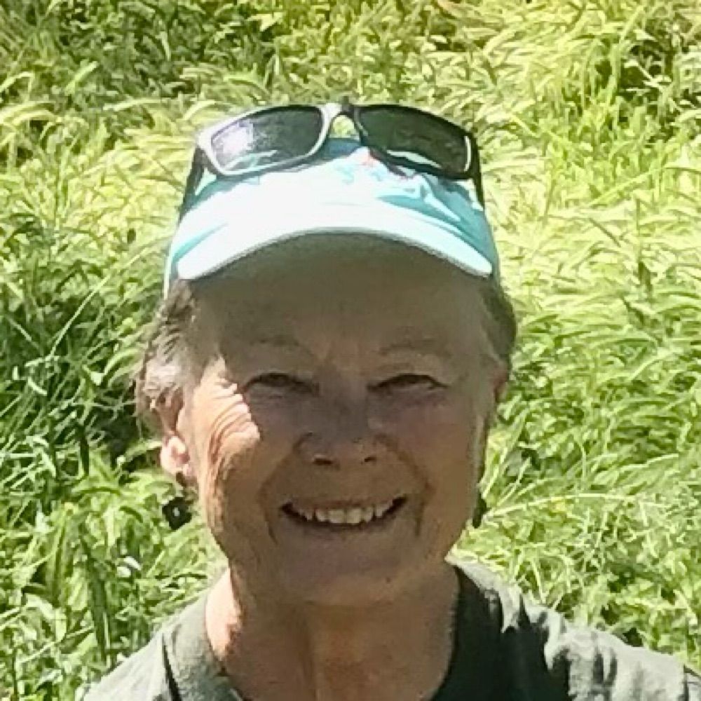 Jane Fritz