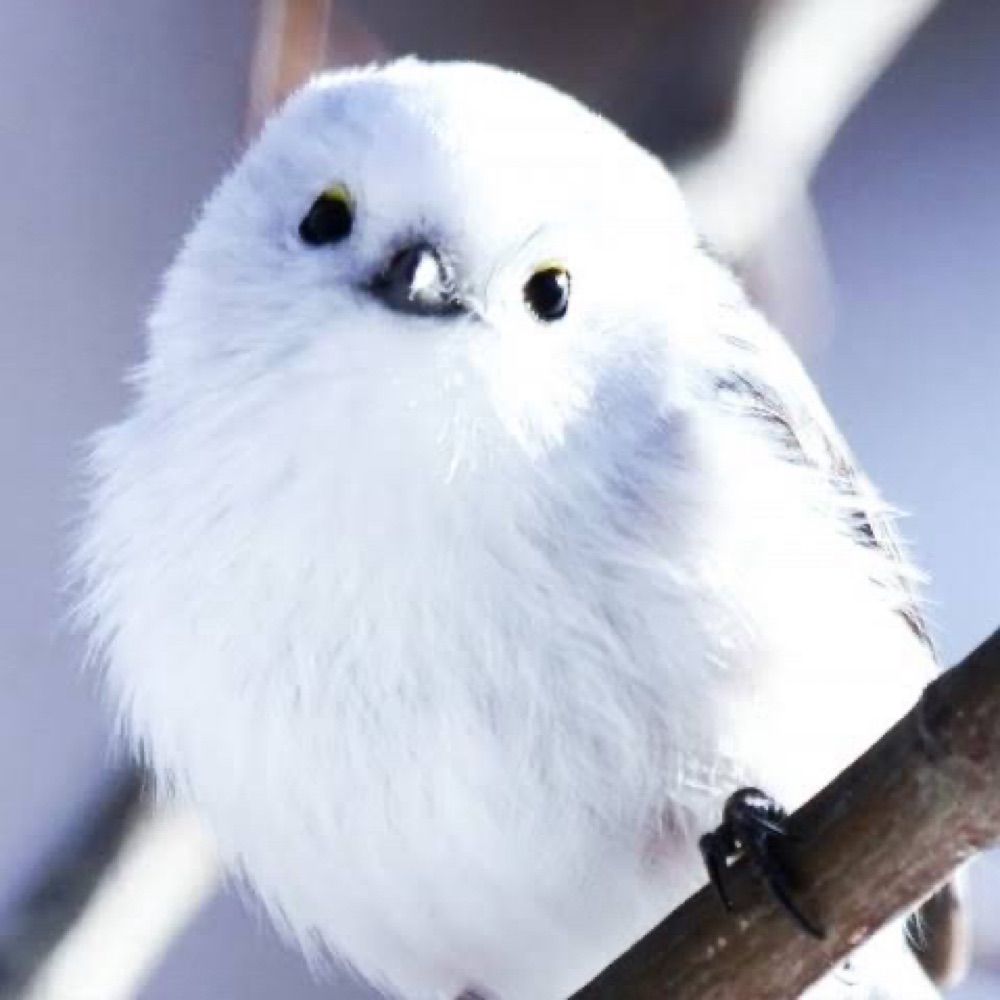 俺つん