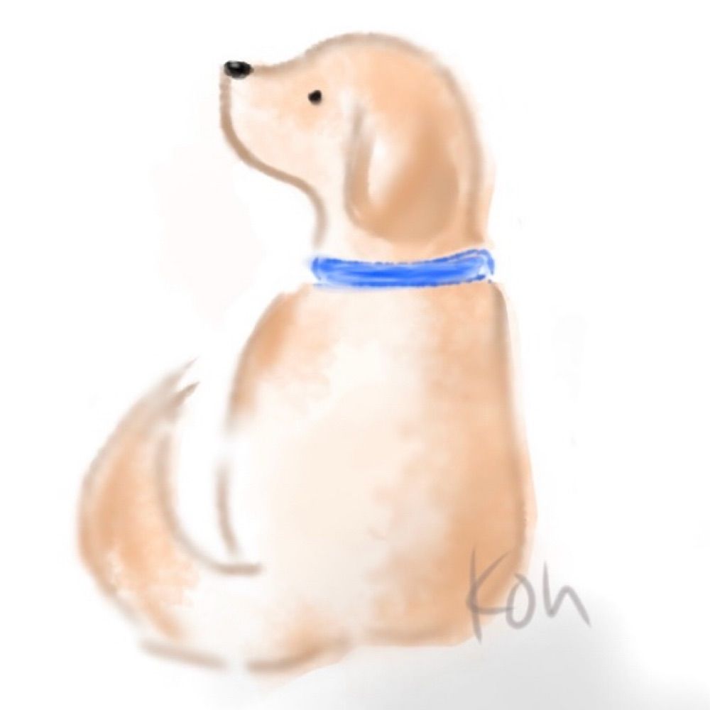紺