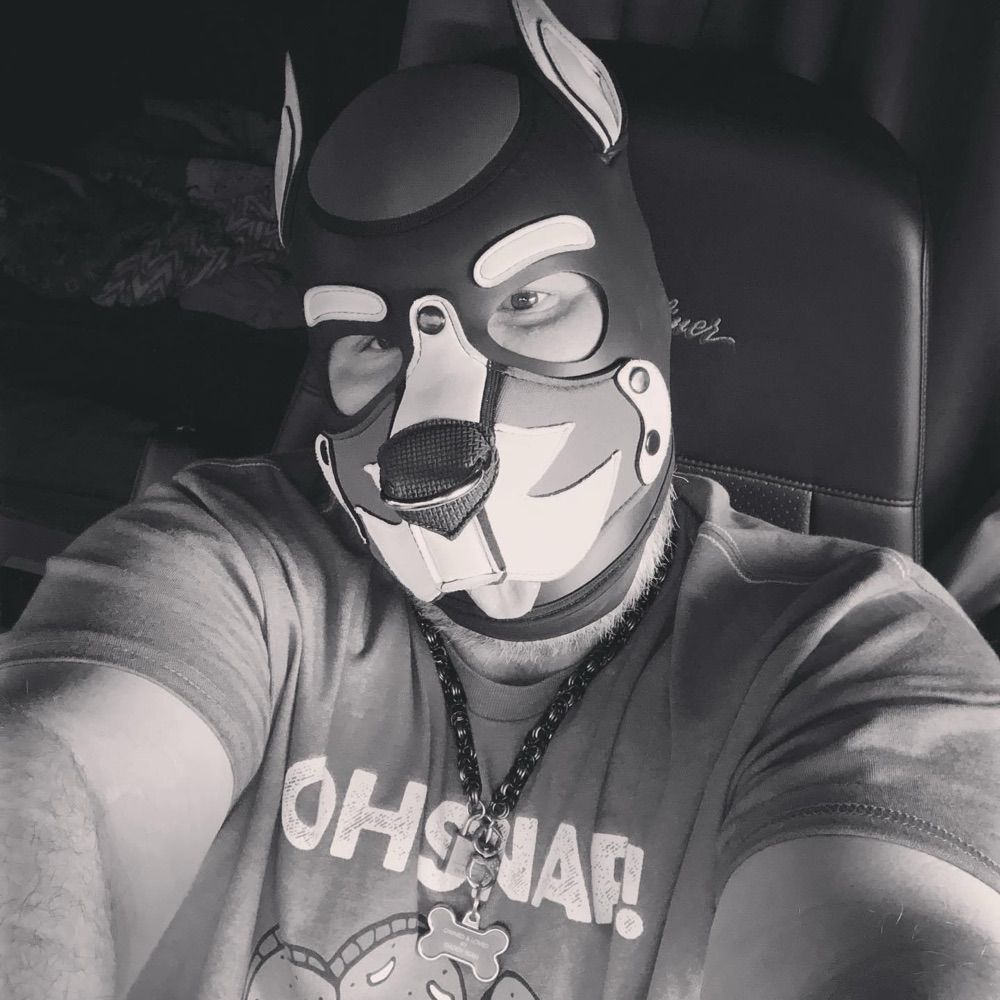 Wolf Quinn