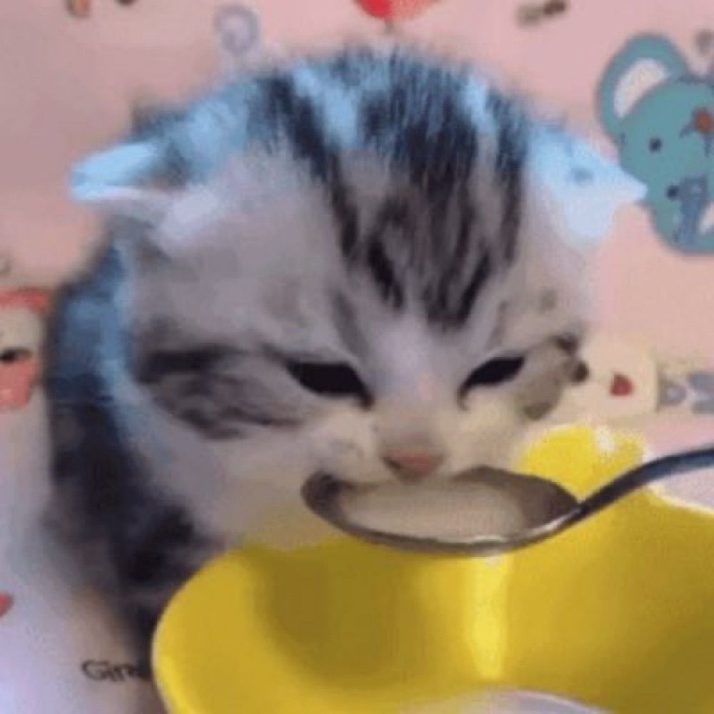 sen 🌥️