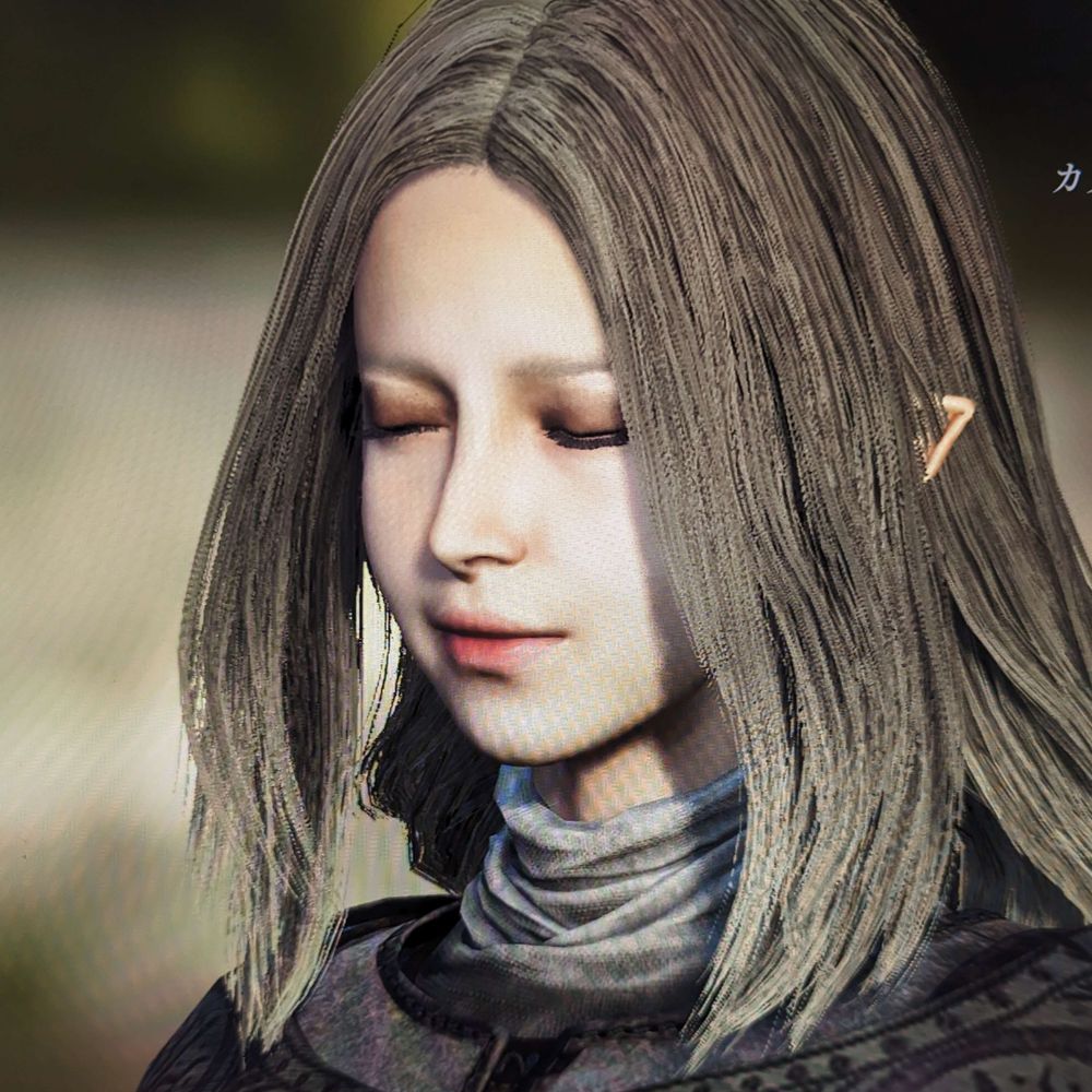 メデリス