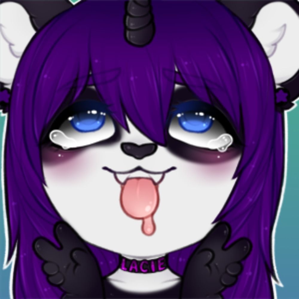 PandaNarwhal