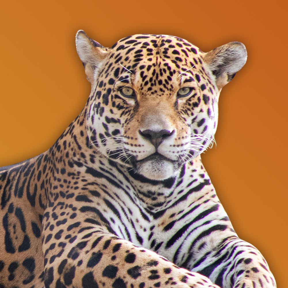Animal World & Snake Farm Zoo