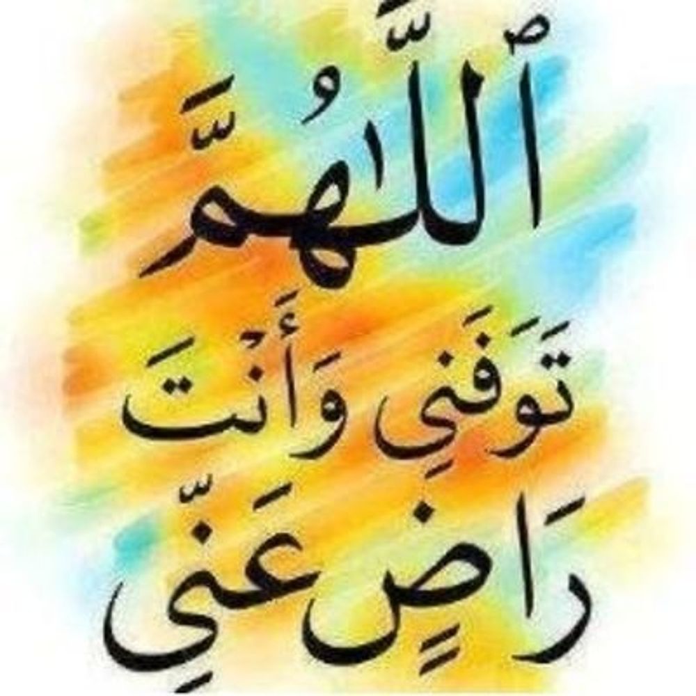 Nahed_Moo
