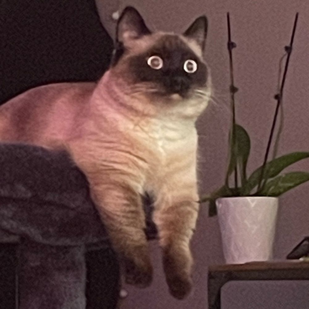 Vee