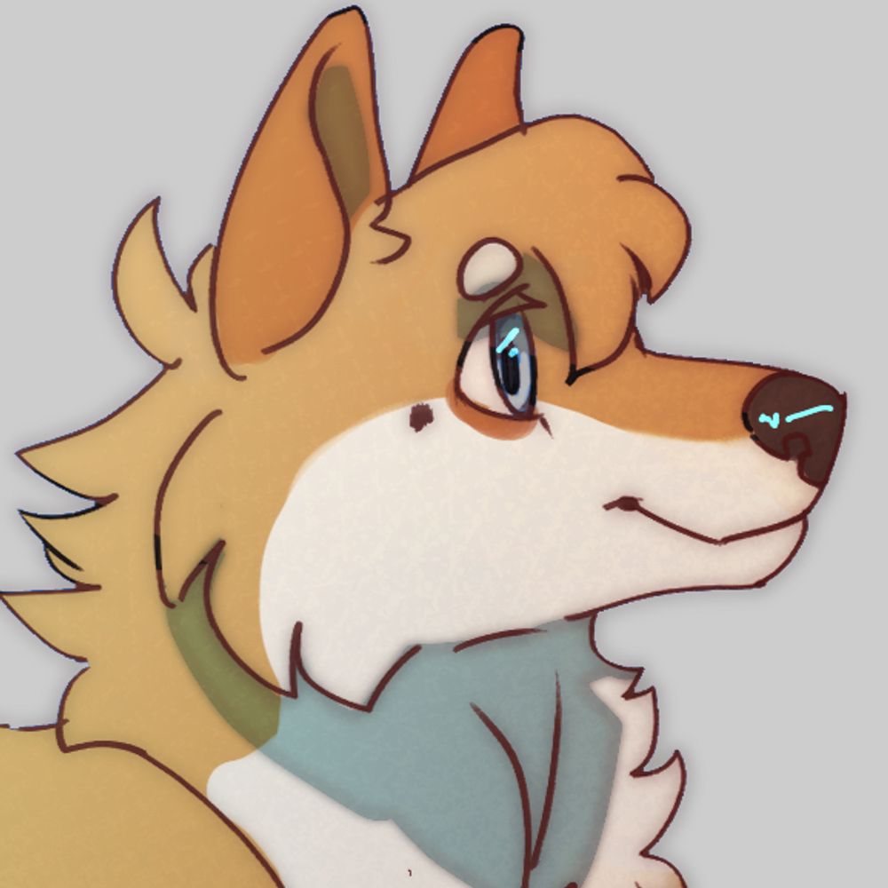 Dingo