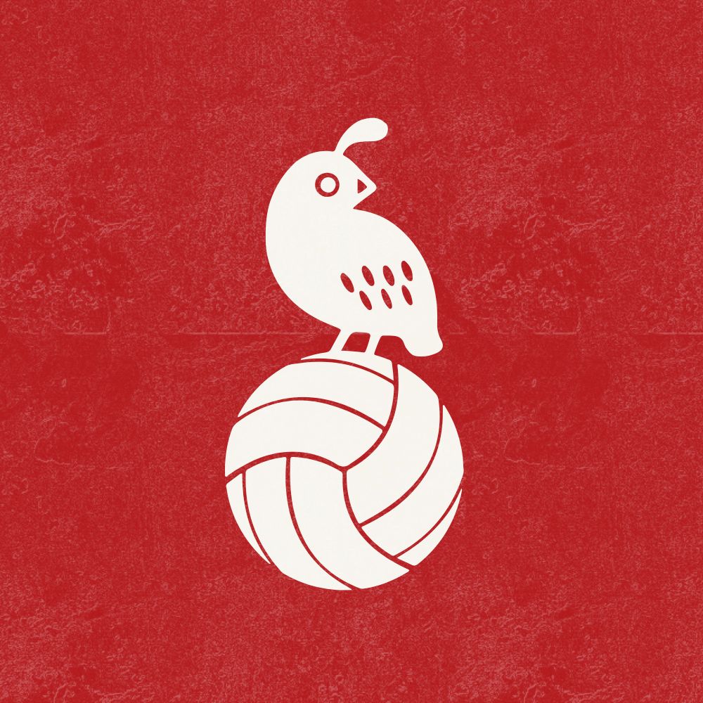 Quail City Soccer