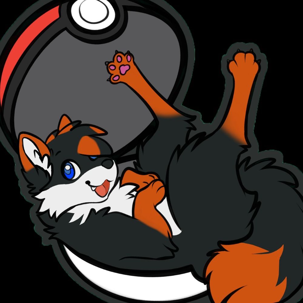 Paddy Ketchum