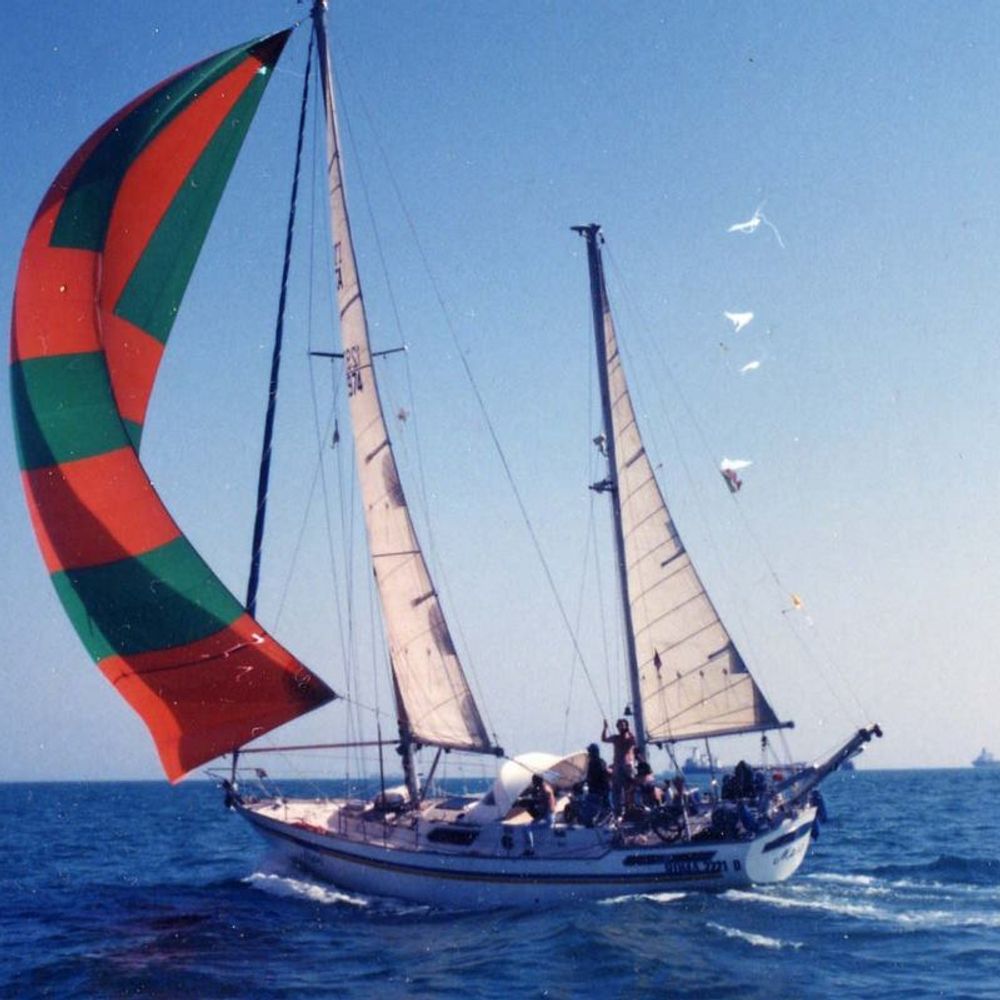 Andrea Sermoneta
