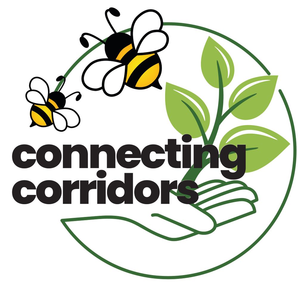 Connecting Corridors