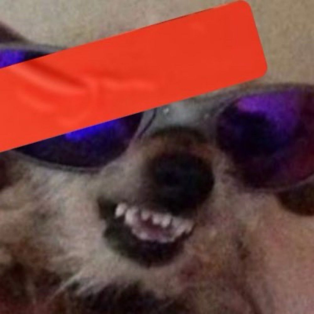 ‎|Tar-zan/‎