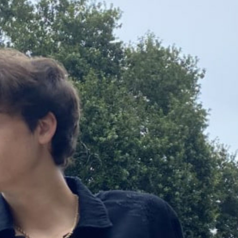Vini