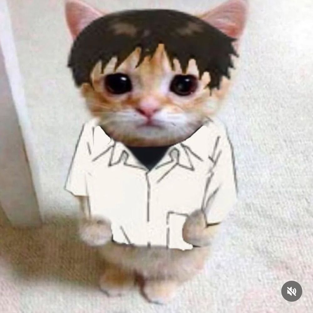 shanky