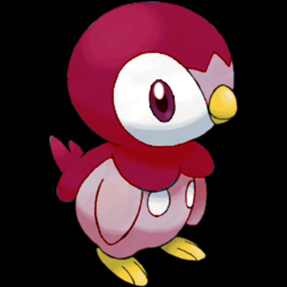 piplup17