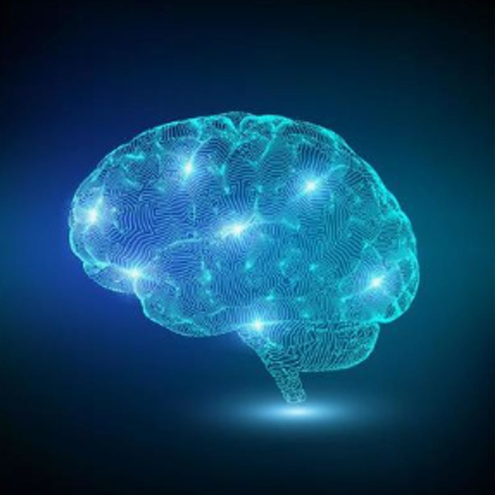 The Knowledge Network