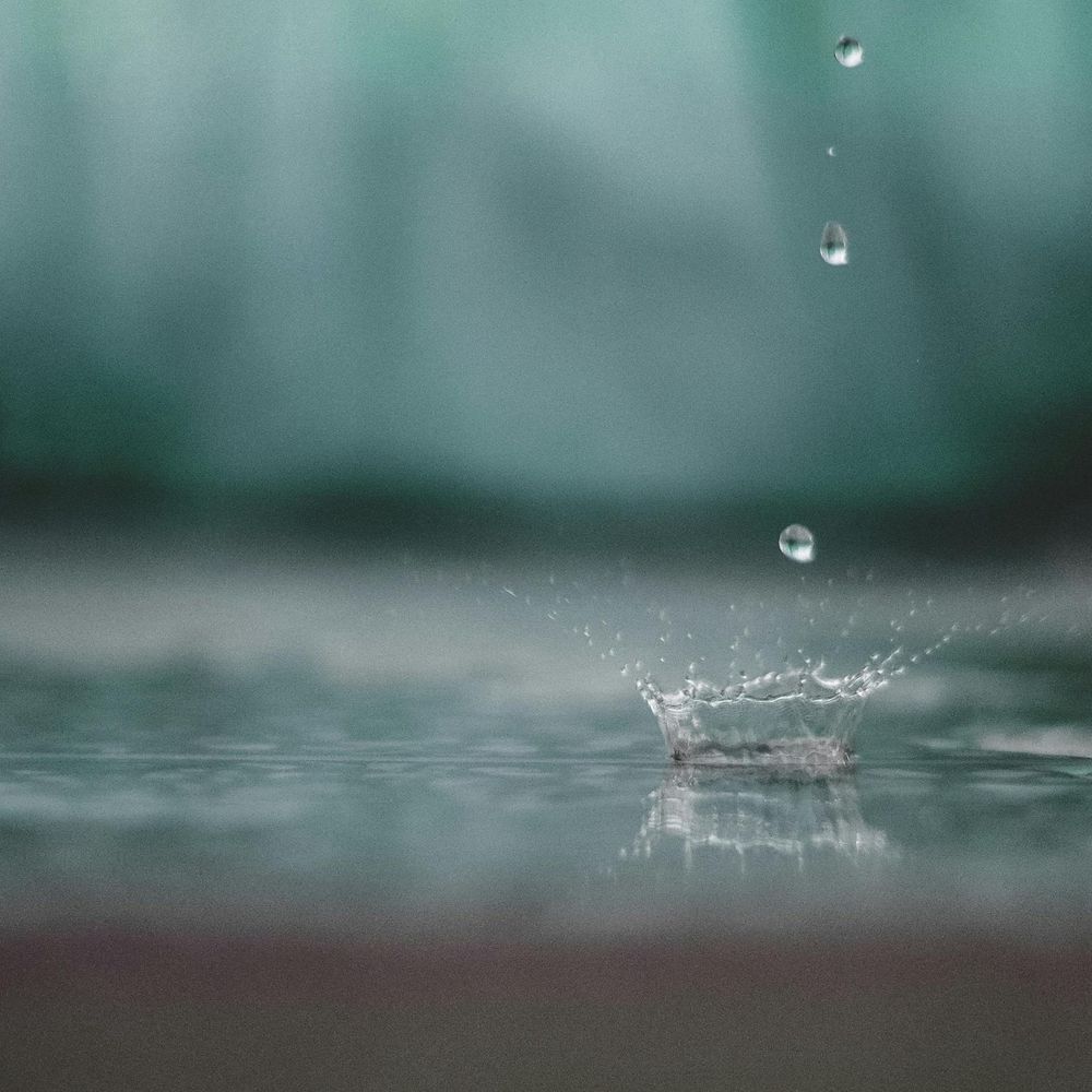 鮫雨