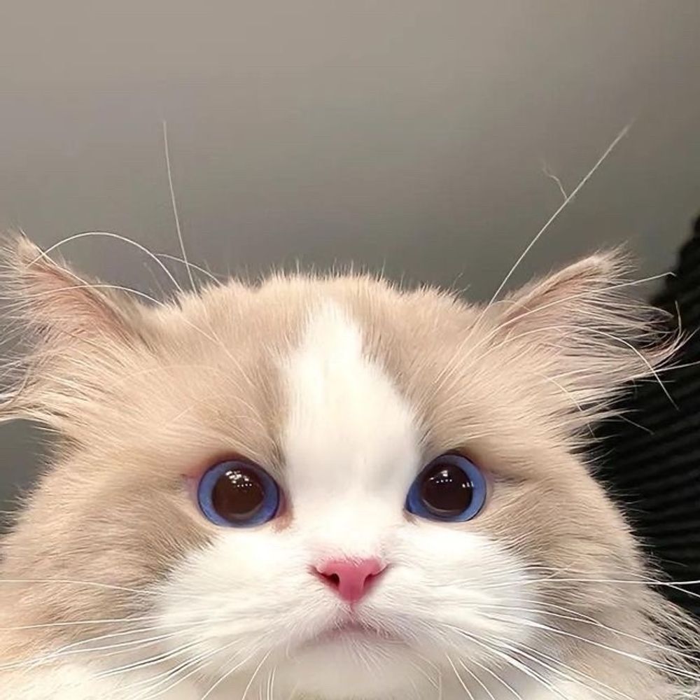 Yawnchle