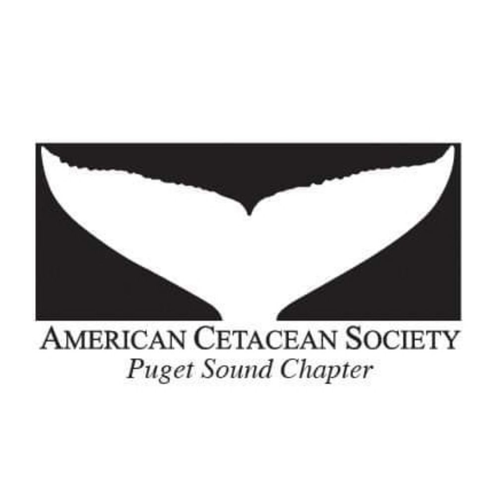 American Cetacean Society - Puget Sound