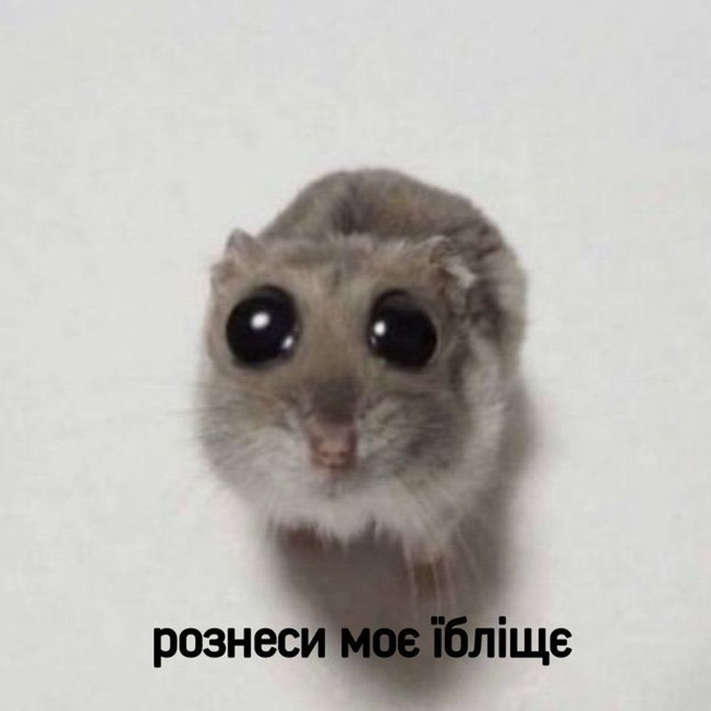 Олександр у Блакитному🇺🇦