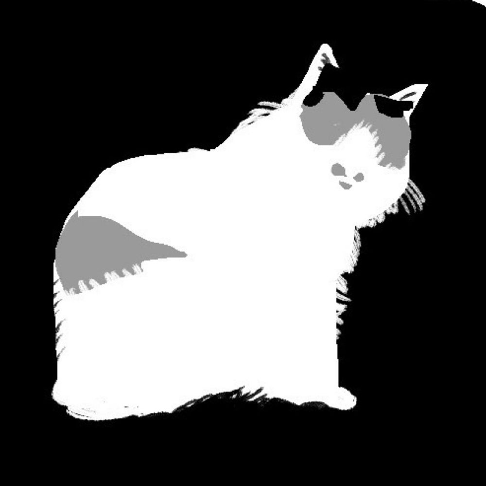 ねこ元気