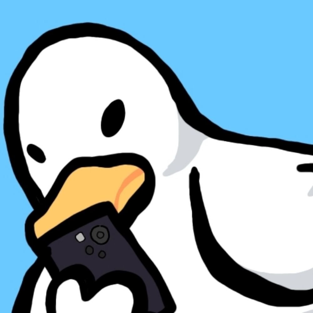 川のアヒル🏠️🦆