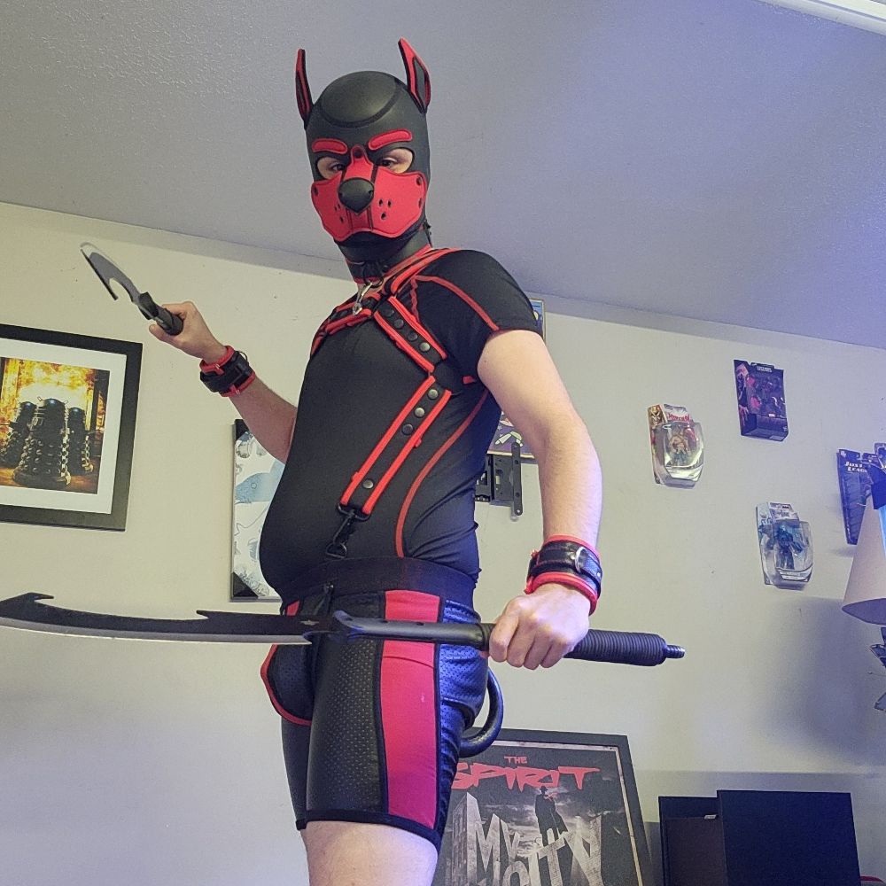 K9-Kairin