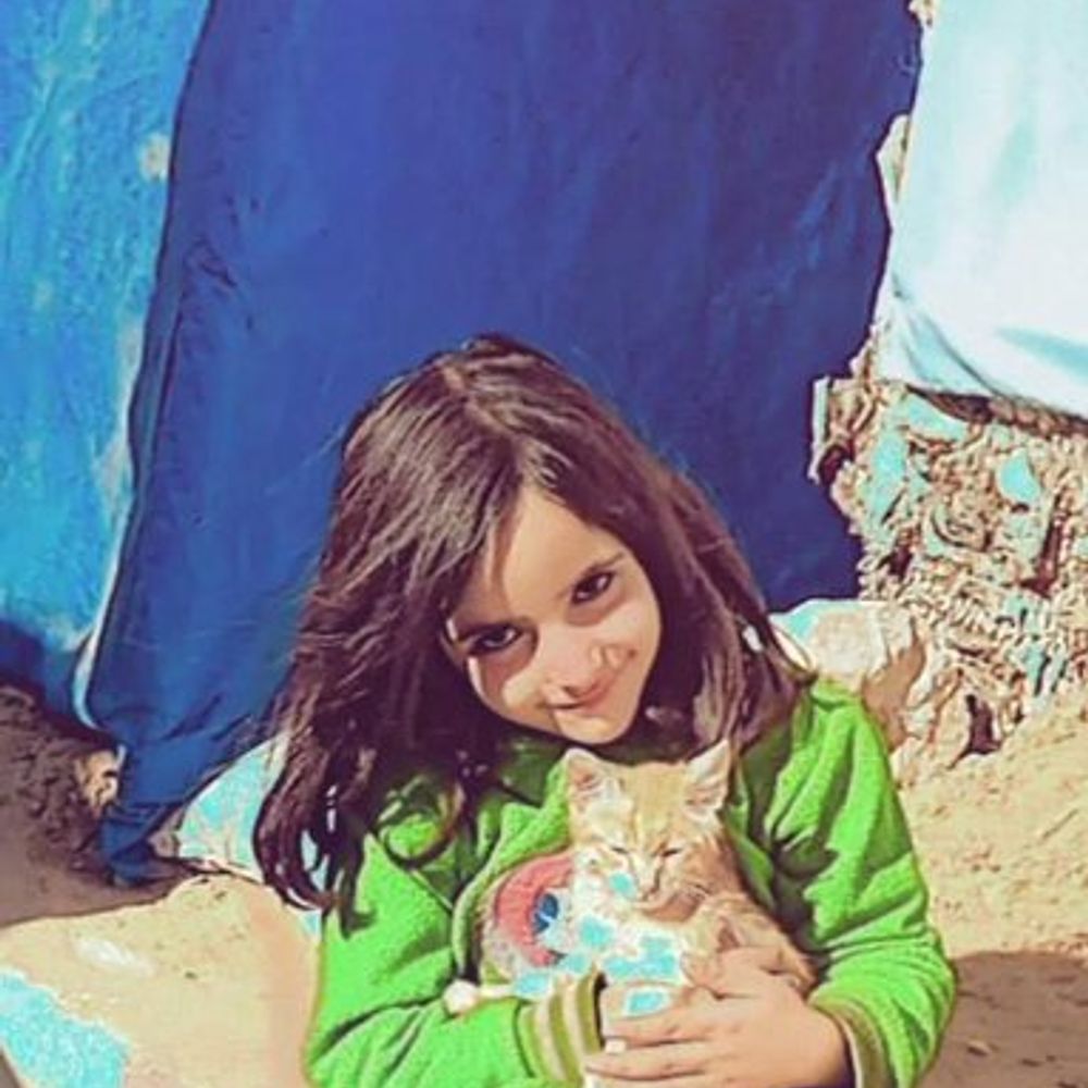 raniaodaygaza.bsky.social profile picture