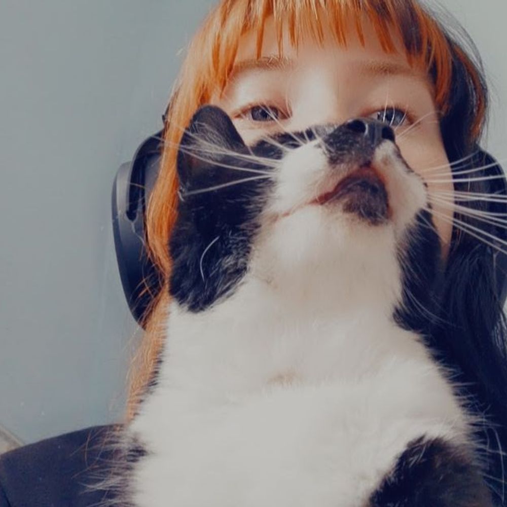 BellendDestroyer