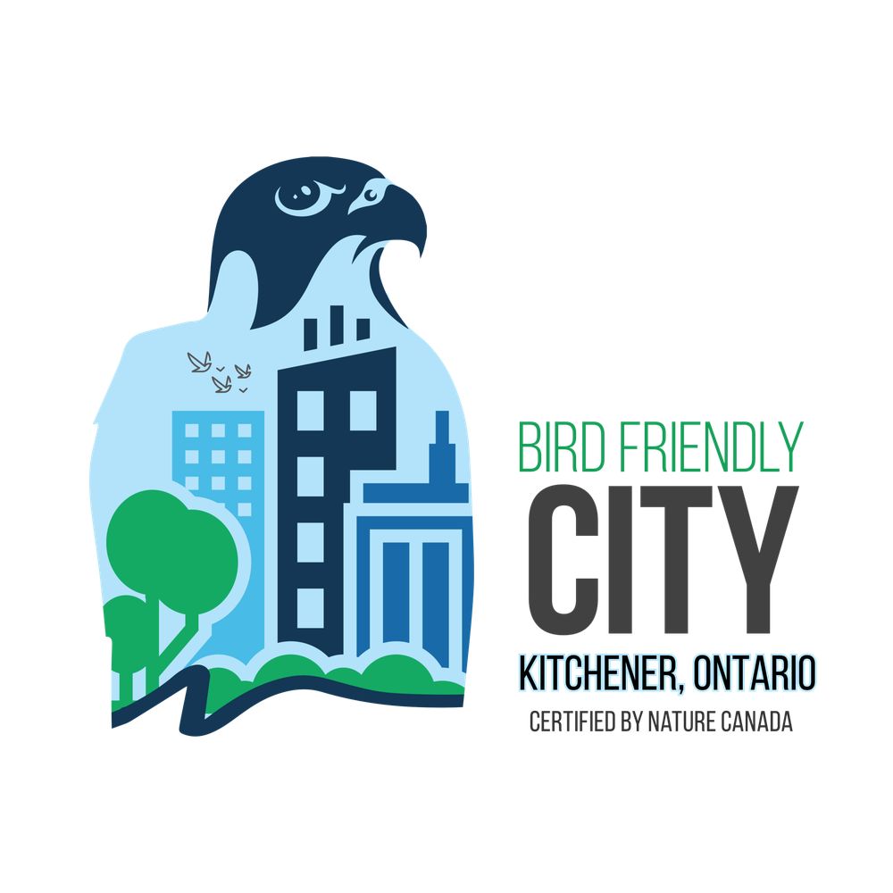 Bird Friendly City Kitchener
