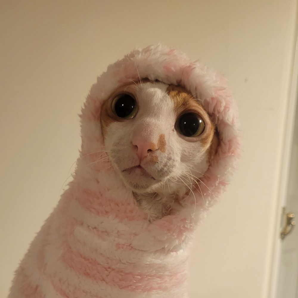 ☆Octobubby☆